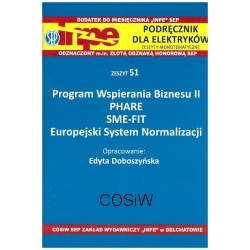 INPE 51 Program Wspierania Biznesu II PHARE SME-FIT Europejski System Normalizacji